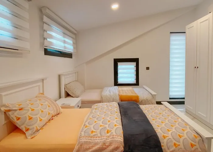 别墅 Ovacik Luxury - 7171 费特希耶